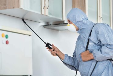 شركة مكافحة فئران بجدة خصم 25 % 0531846508