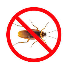 شركة مكافحة النمل الابيض بالدمام خصم 25 % 0531846508